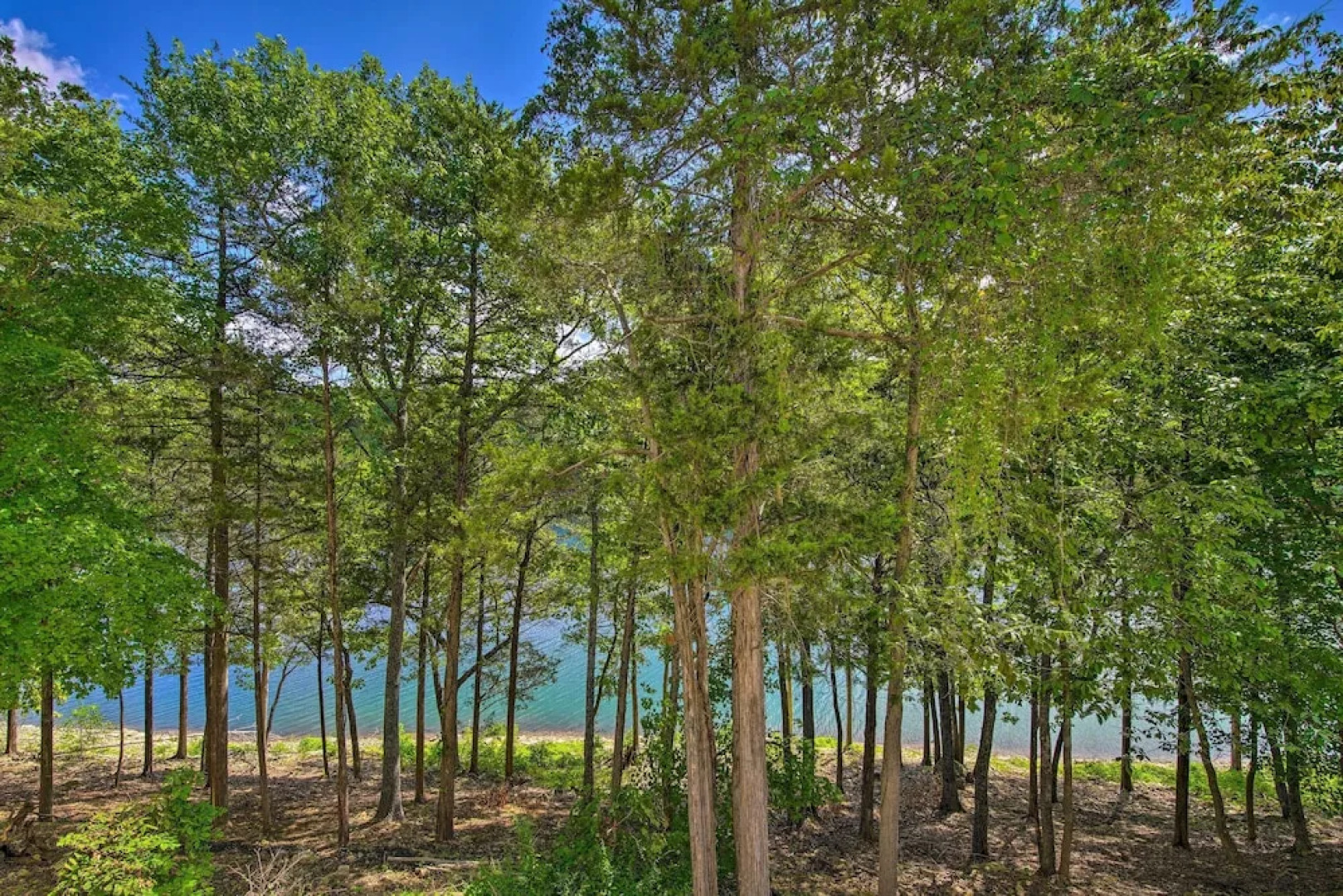 Bright Ozarks Condo w/ Balcony & Lake Views!