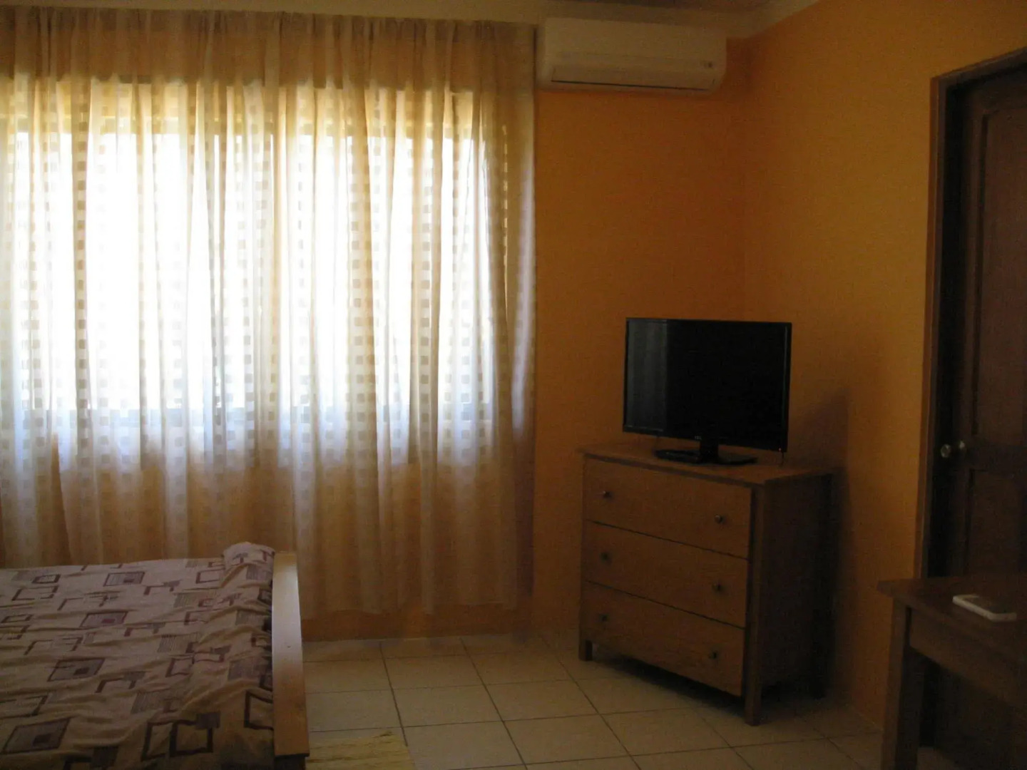 Green Forest of Coco Beach Studios