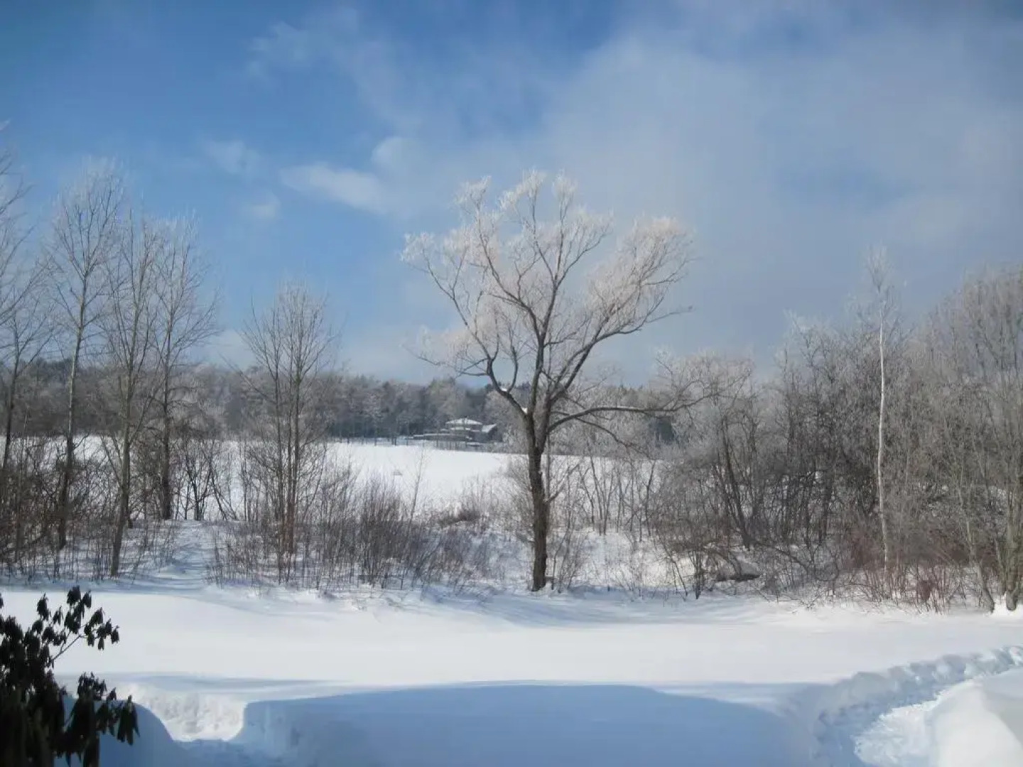 Ranney-Crawford House Bed and Breakfast