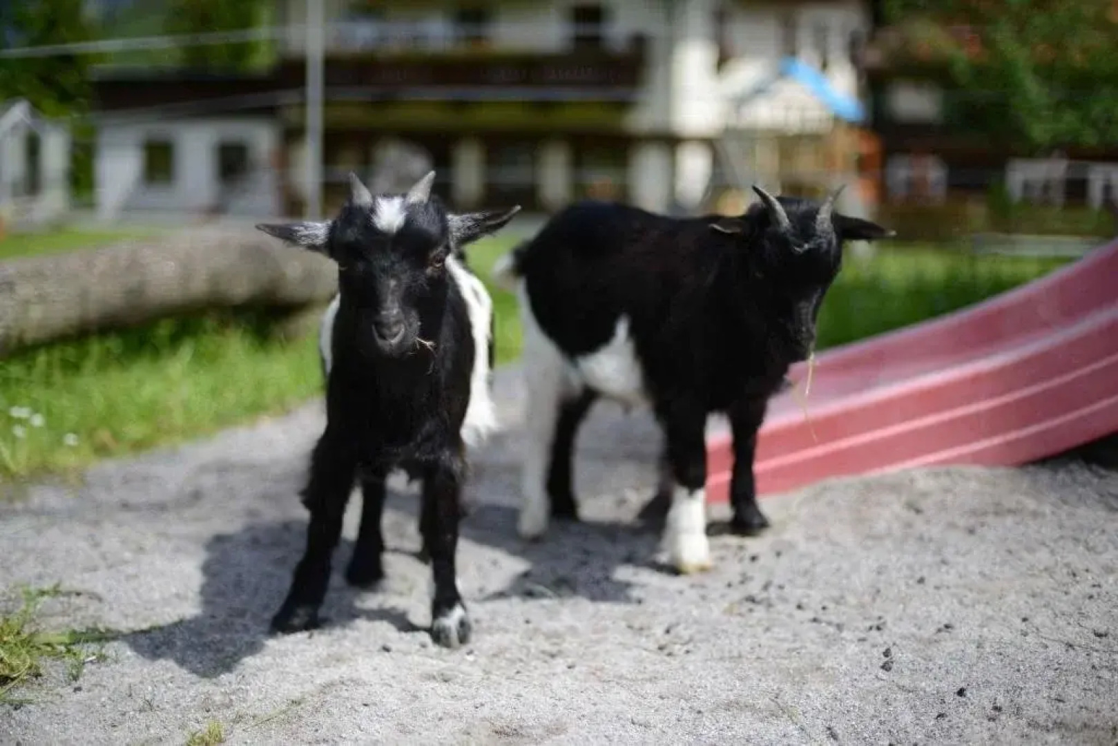 Alpengasthof zur Post GmbH