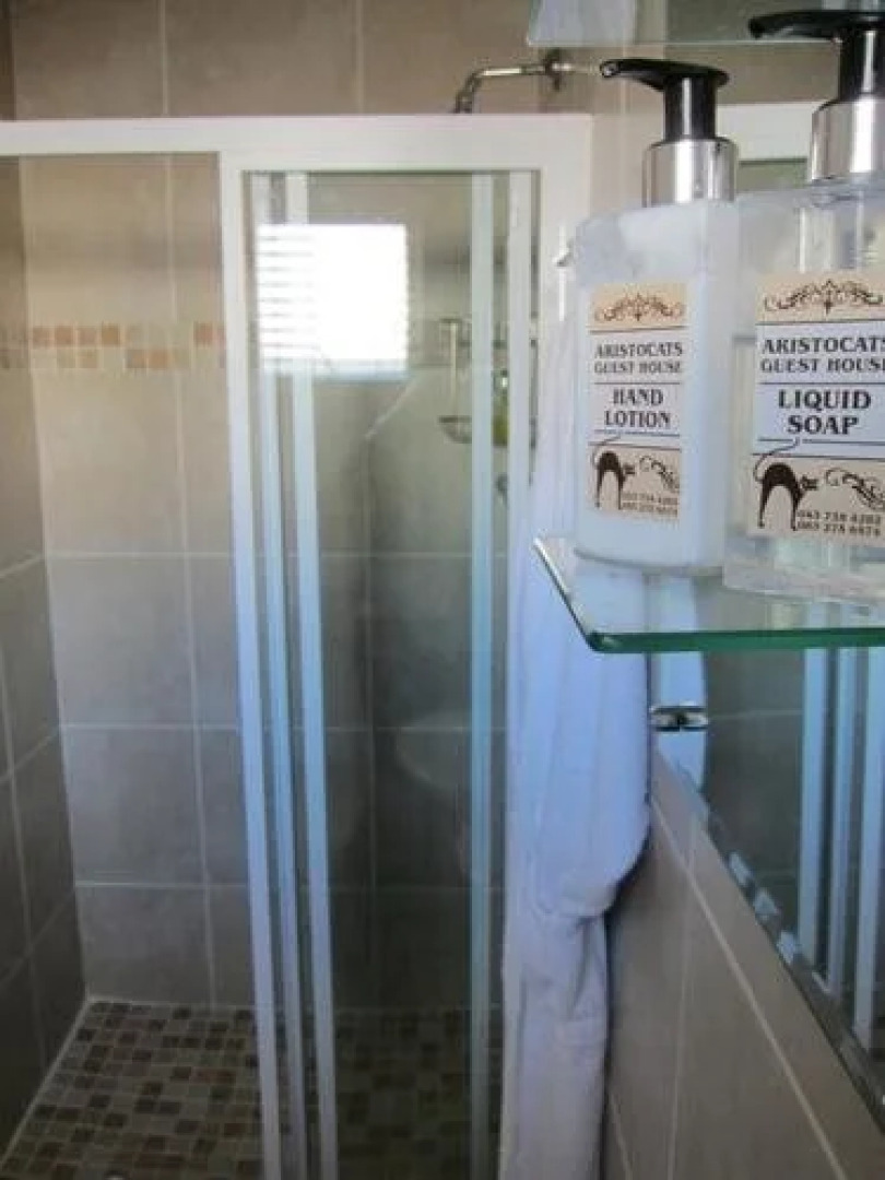 Aristocats Guest House