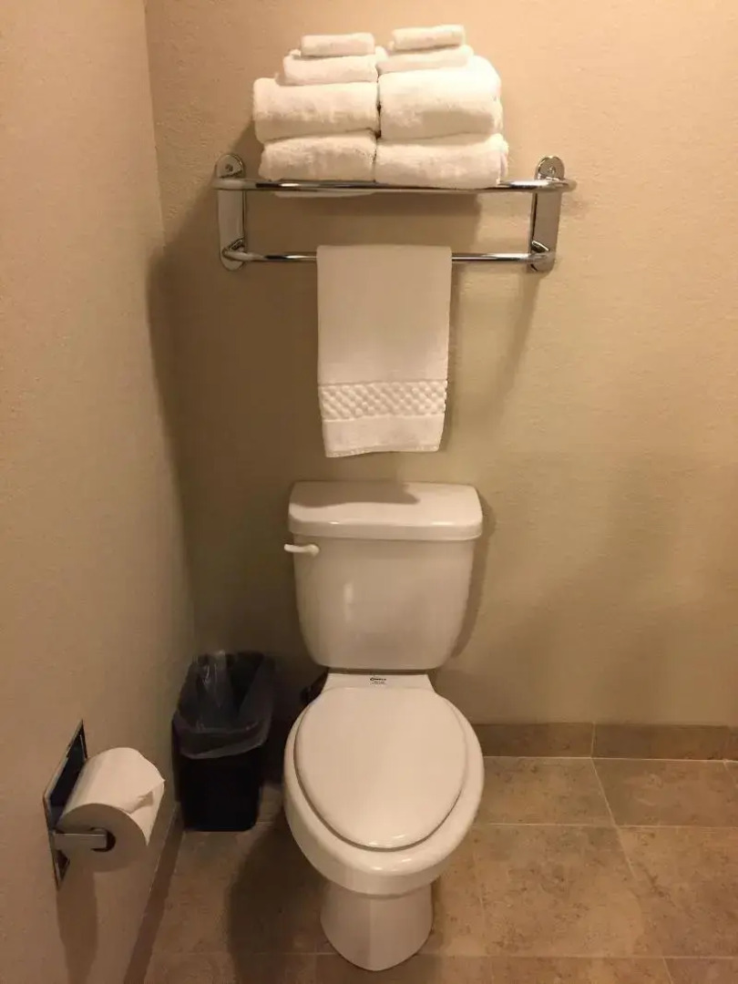 Cobblestone Inn & Suites - Holstein