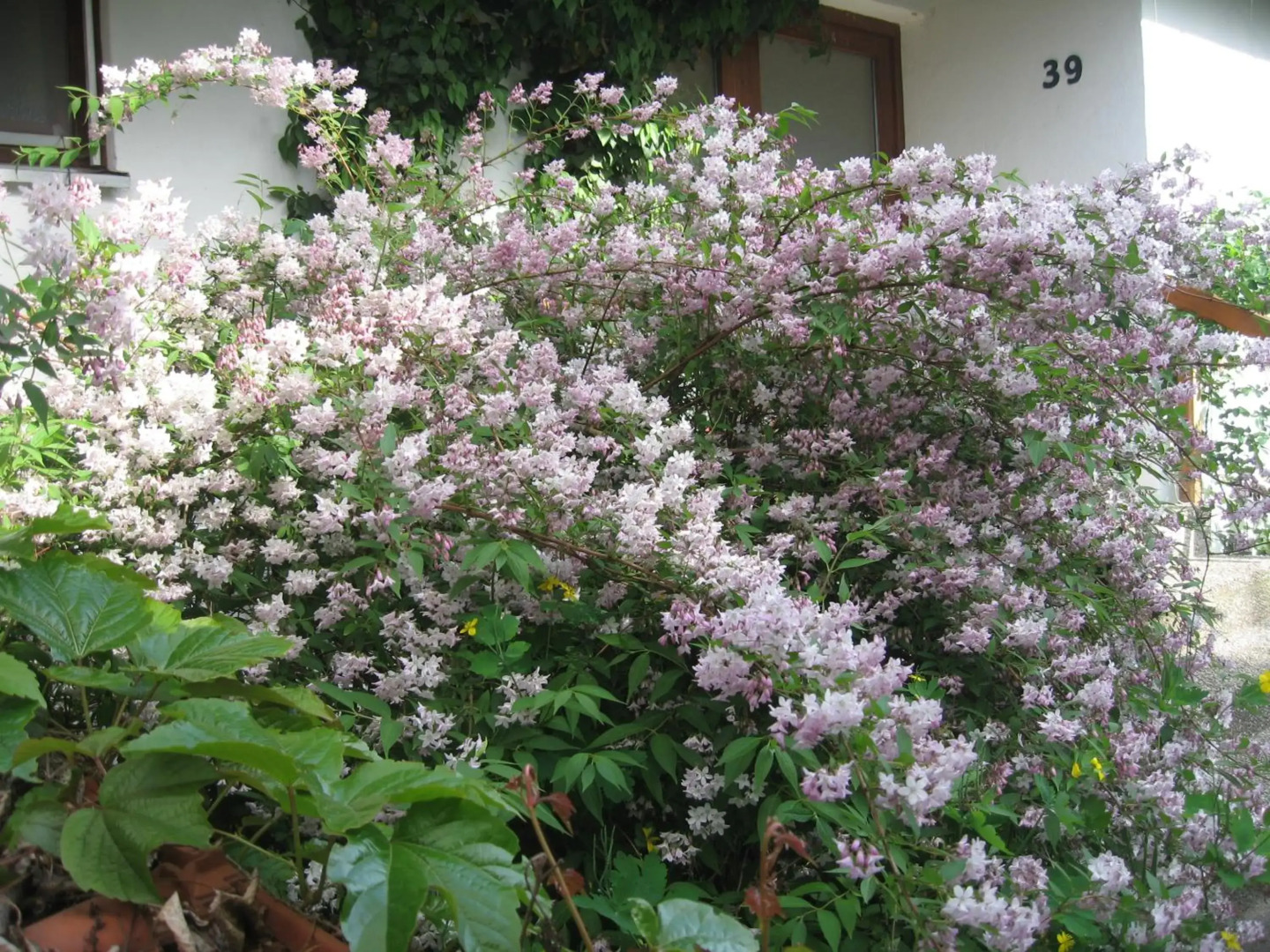 Komfortabel wohnen am Waldrand von Pitzling