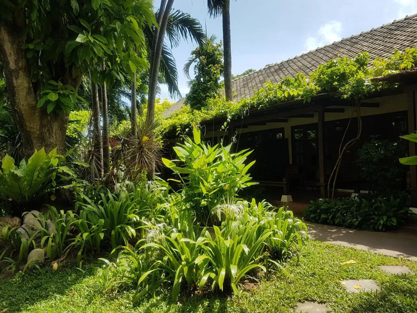 Montien House Chaweng Beach Resort