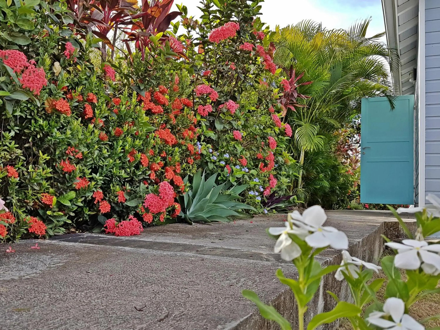 Blue Haven Villas Guadeloupe