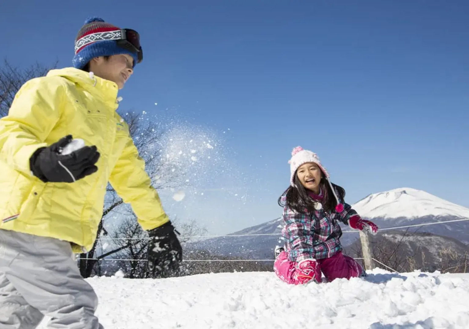 The Prince Villa Karuizawa