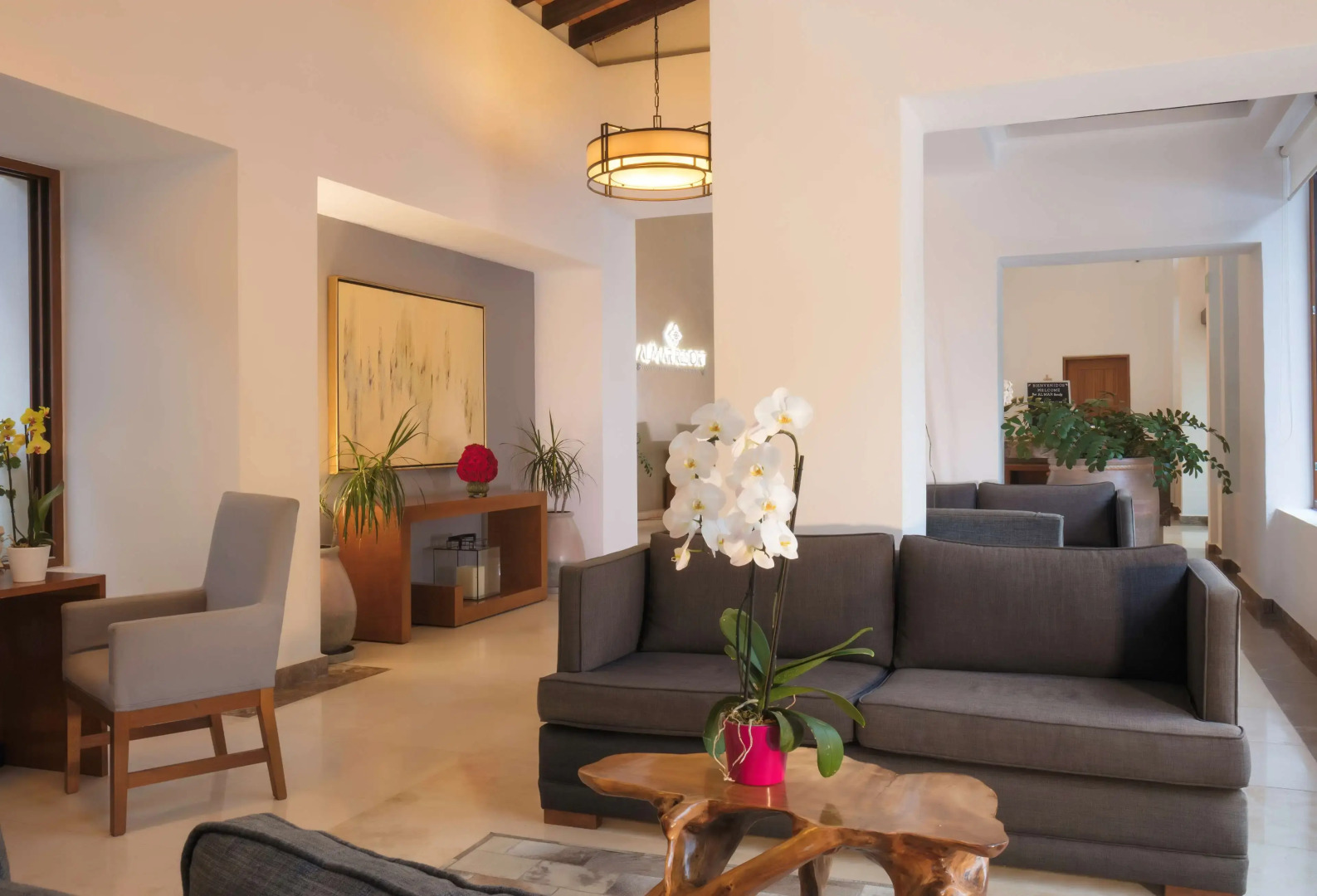 Almar Resort Luxury Beach Front Experience