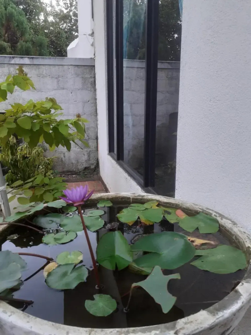 Sudharma Pilgrims Rest And Holiday Inn