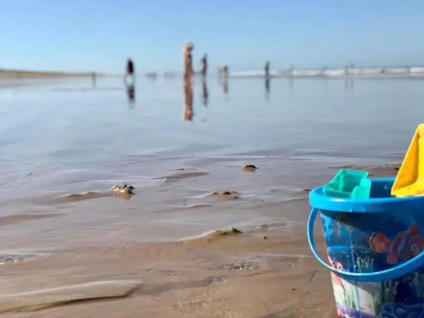 Maison Bretignolles-sur-Mer, 2 pièces, 4 personnes - FR-1-231-120