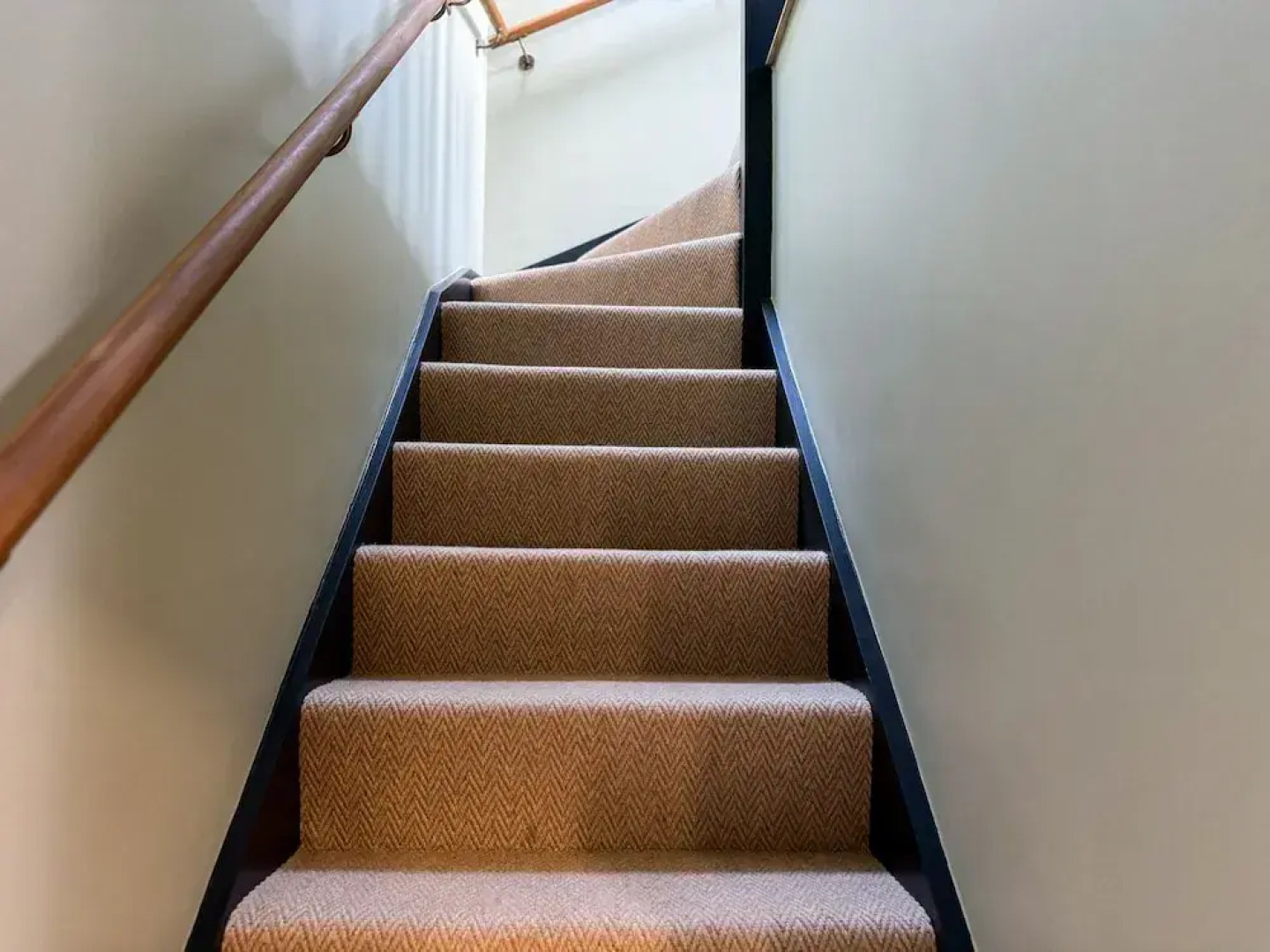 The Sheep and Penguin