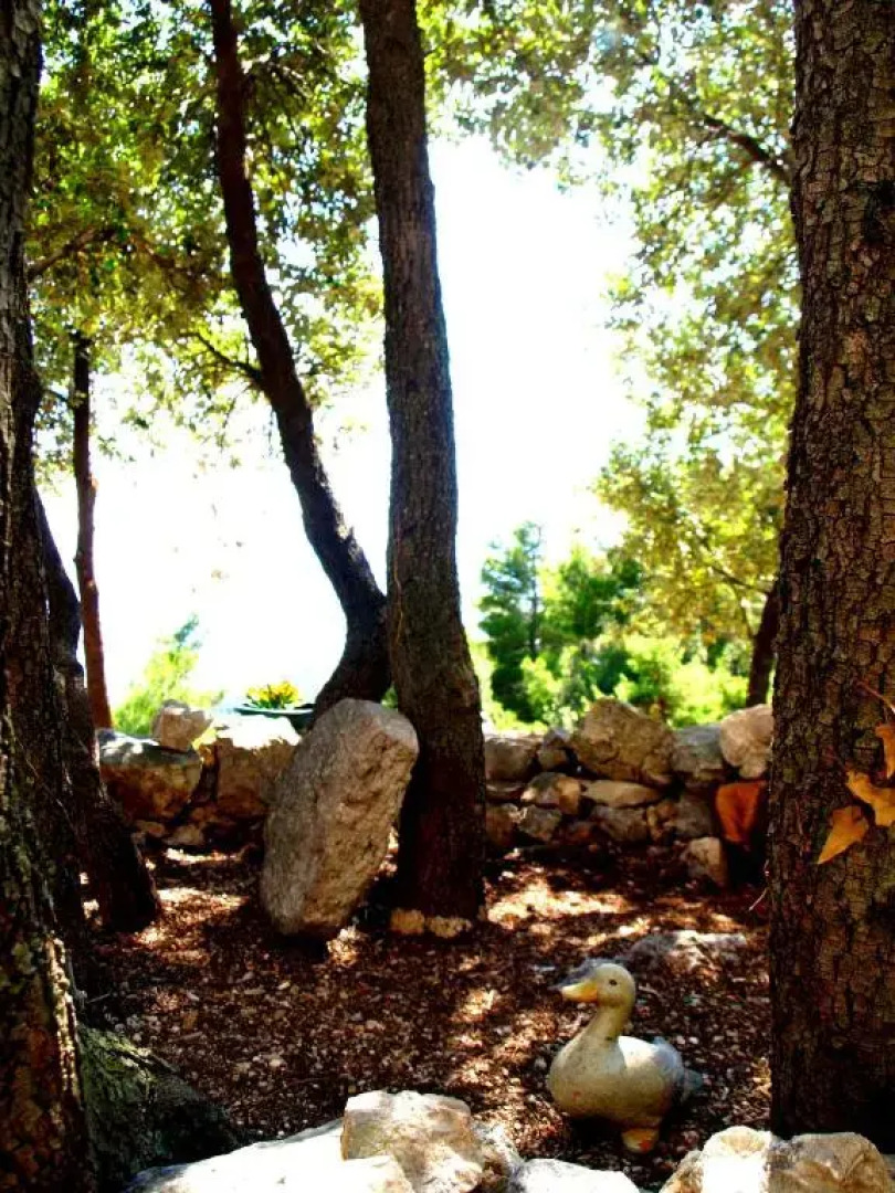 Holiday Home Dalmatinska Kuća