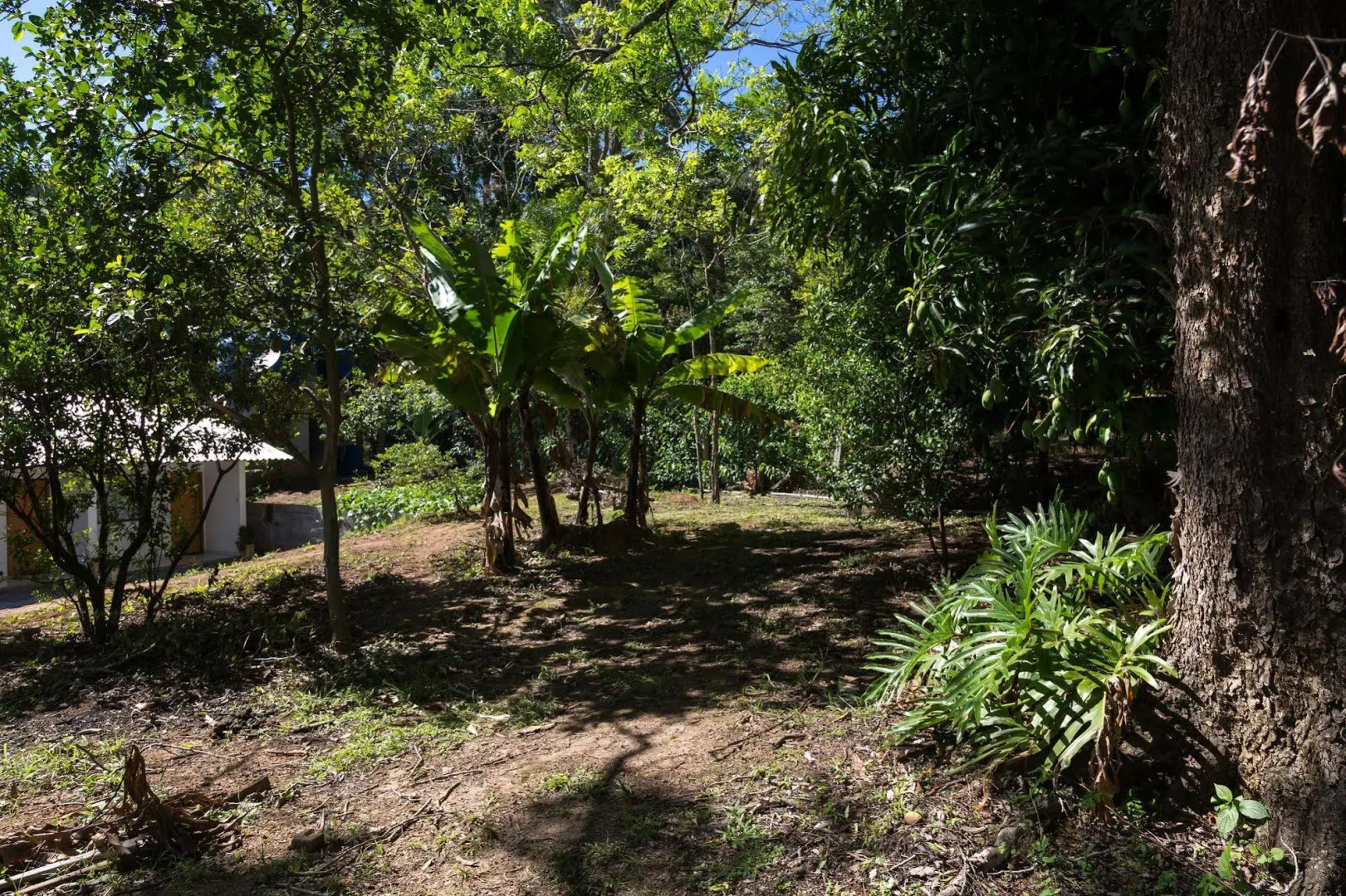 Pousada Acalanto Inn