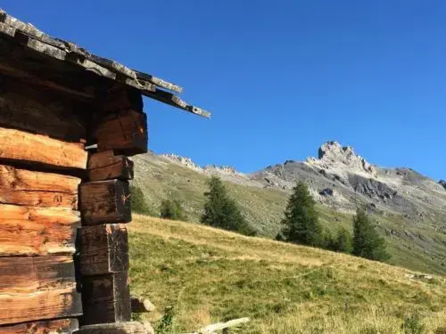 Immeuble Les Mélèzes