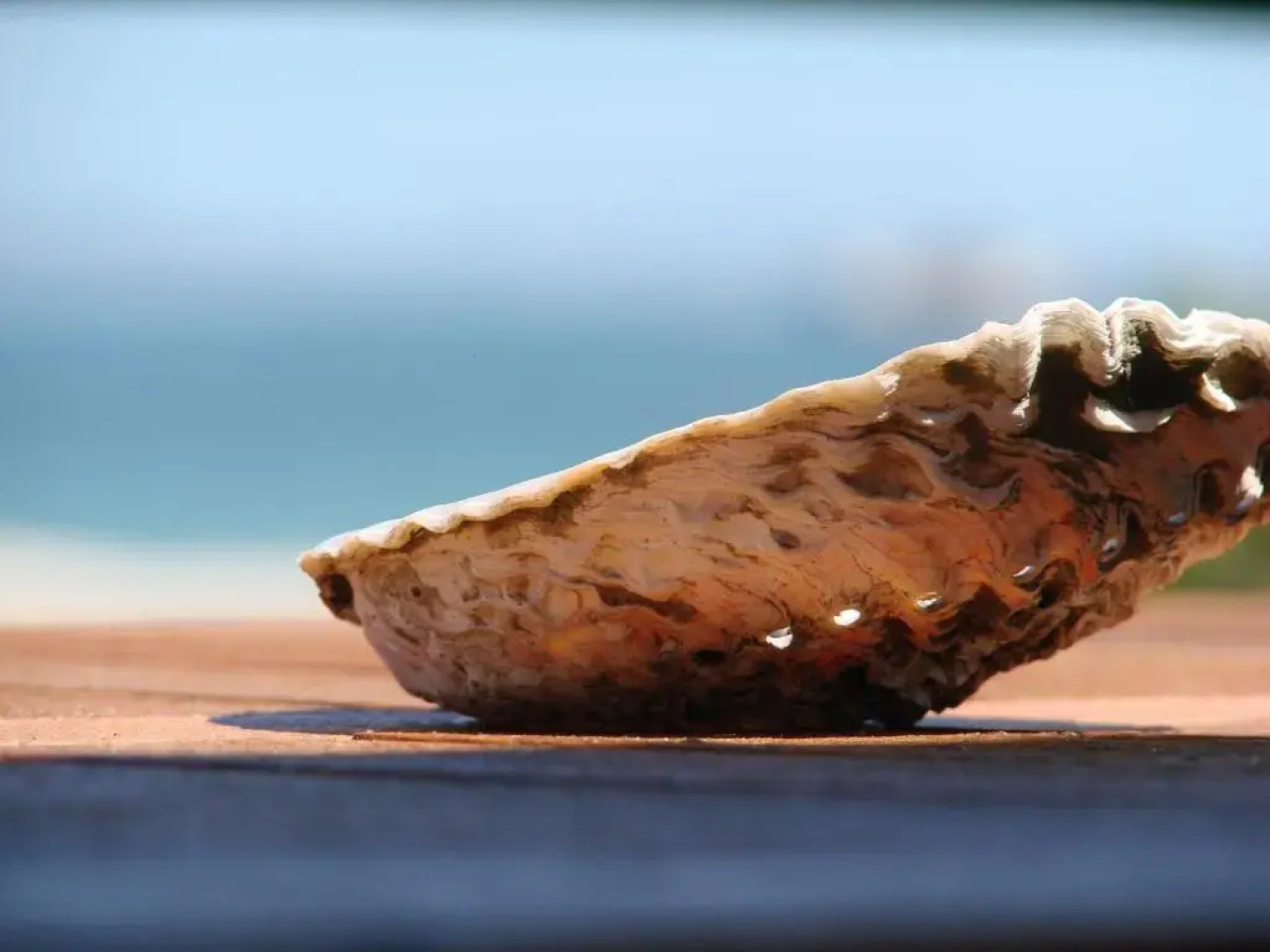 Sandra's Guest House