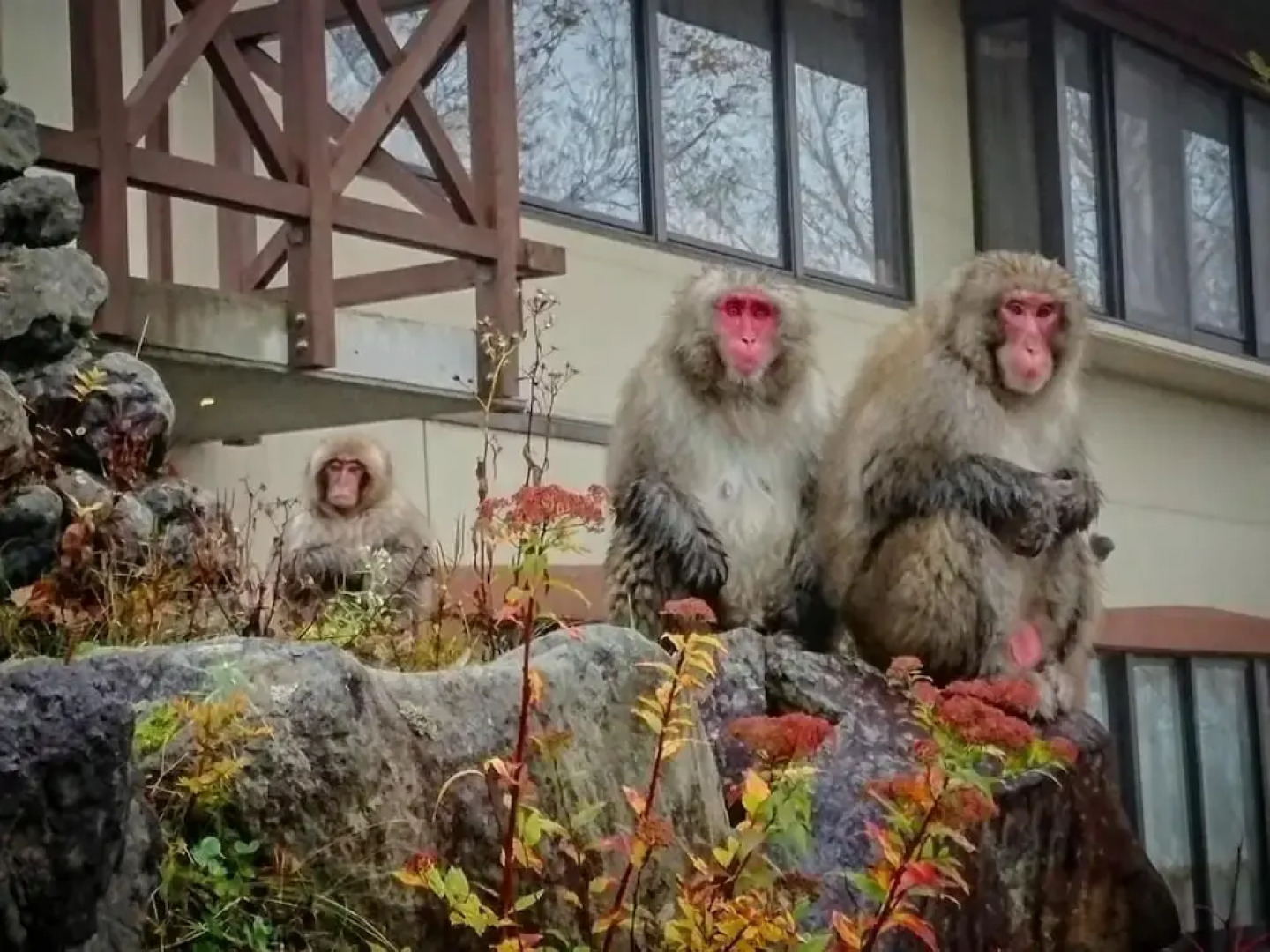 Sports Hotel SILVER SHIGA