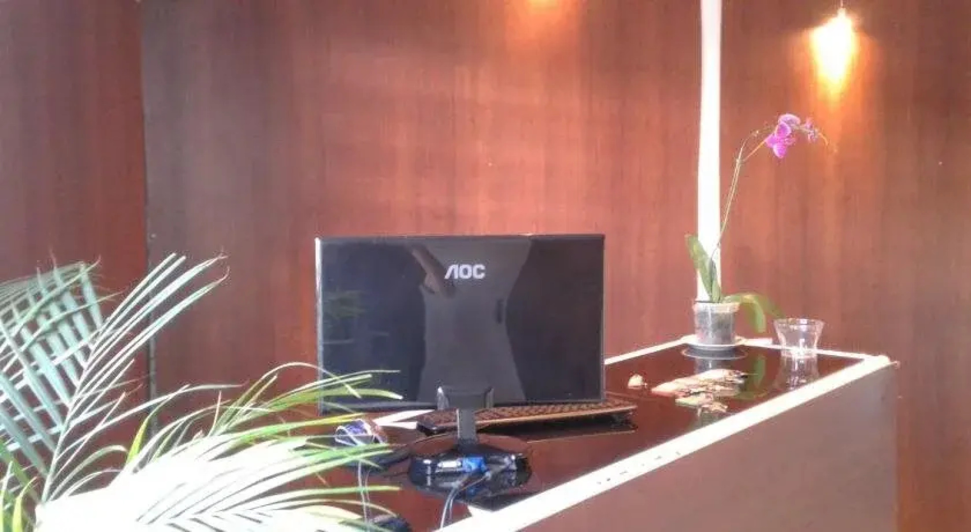 Árvore da Vida Pousada