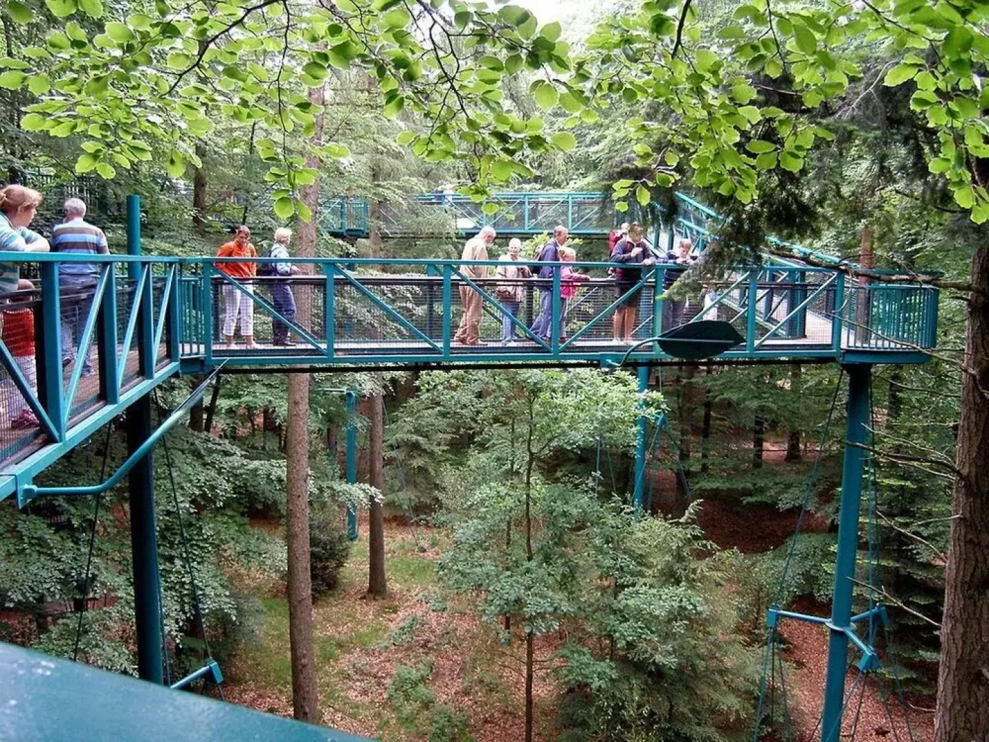 Vakantiepark het Timmerholt