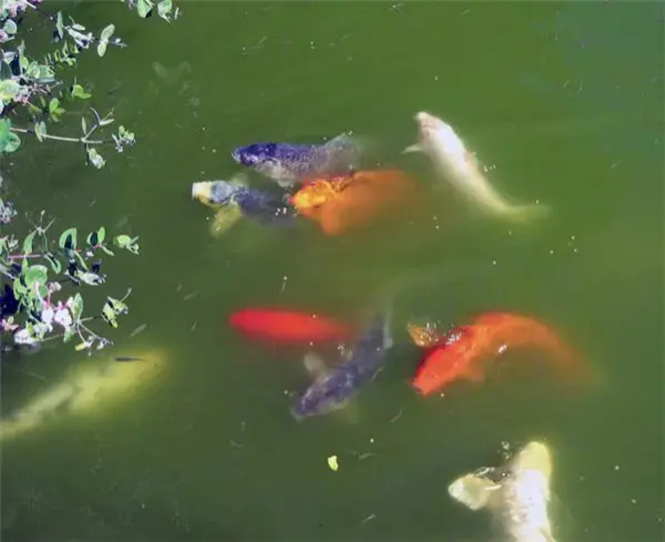 Wine Country Cottage