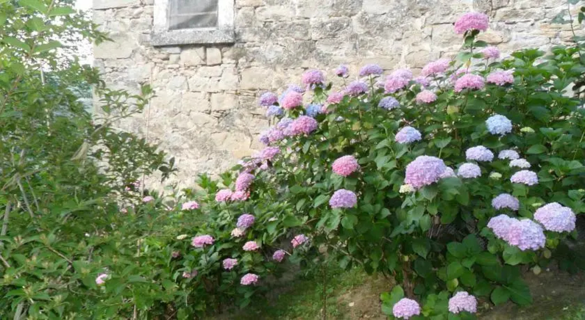 Bed and Breakfast Cuore