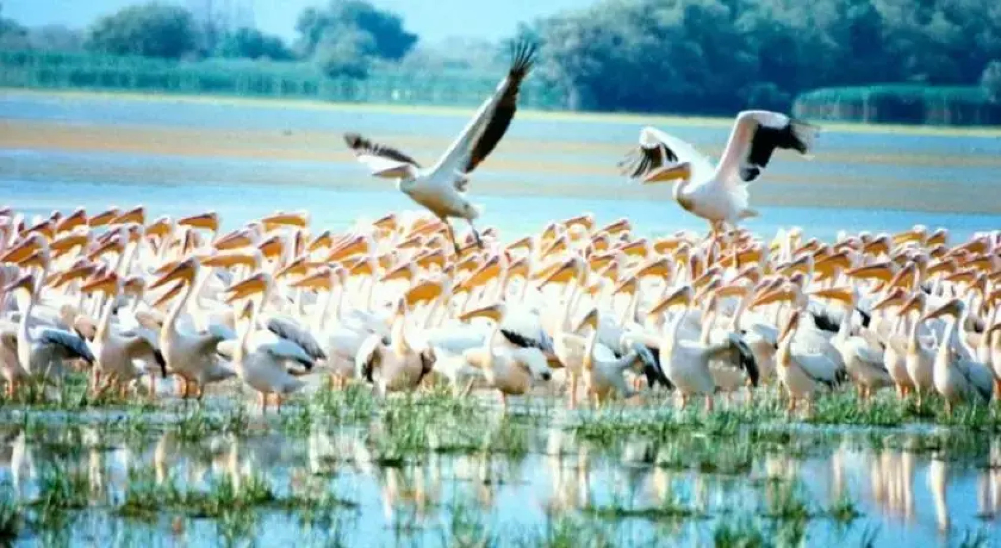 Casa de Vacanta Dunavatul de Jos