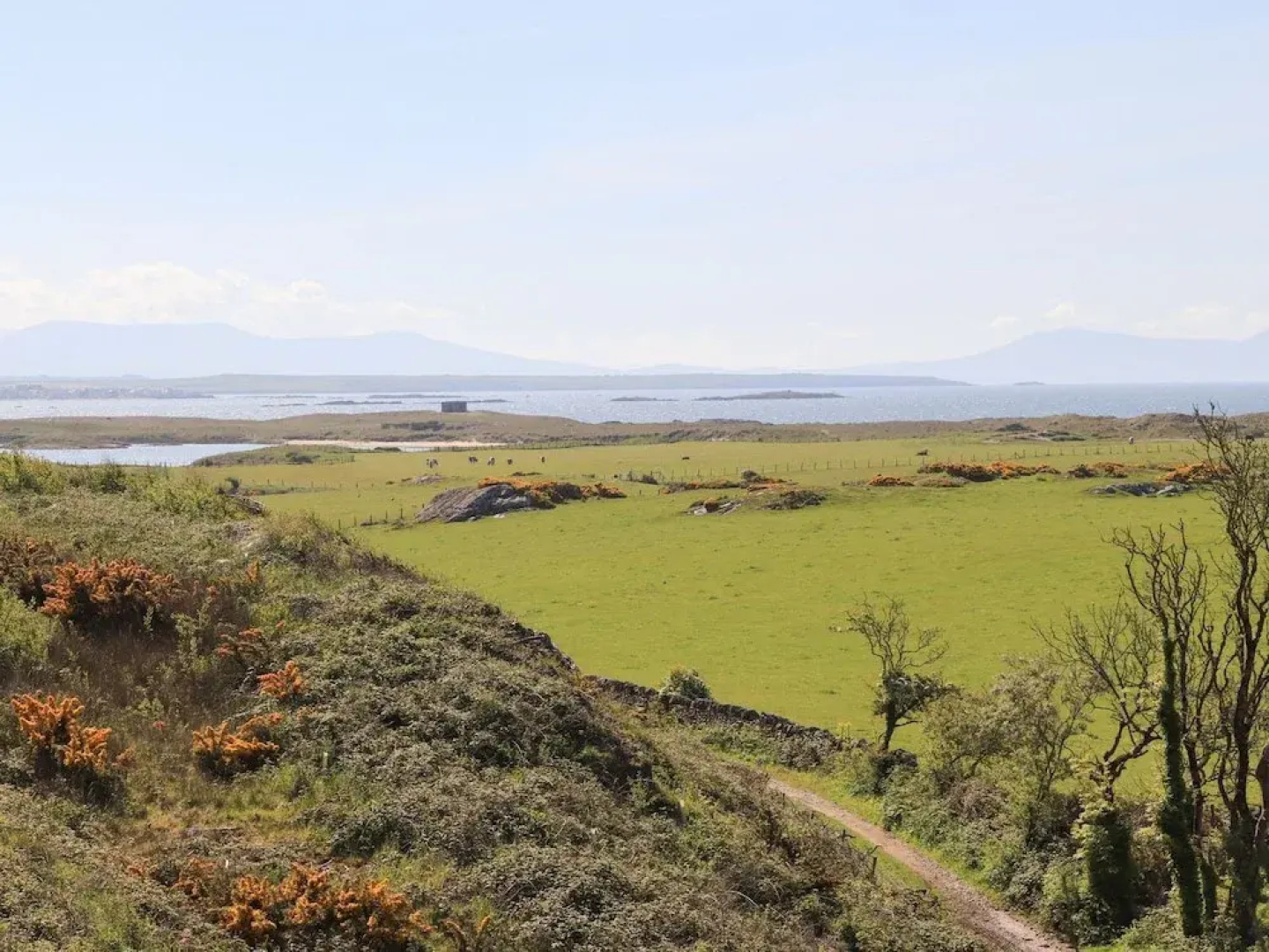 Ty Mynydd