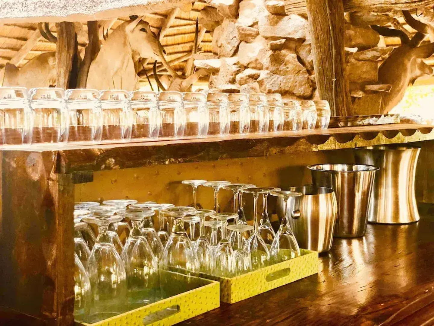 Toro River Lodges Big 5 Safari