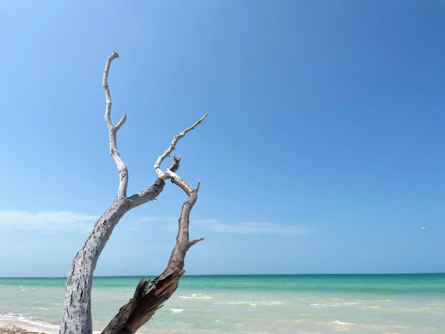 Casa en primera linea de playa con alberca