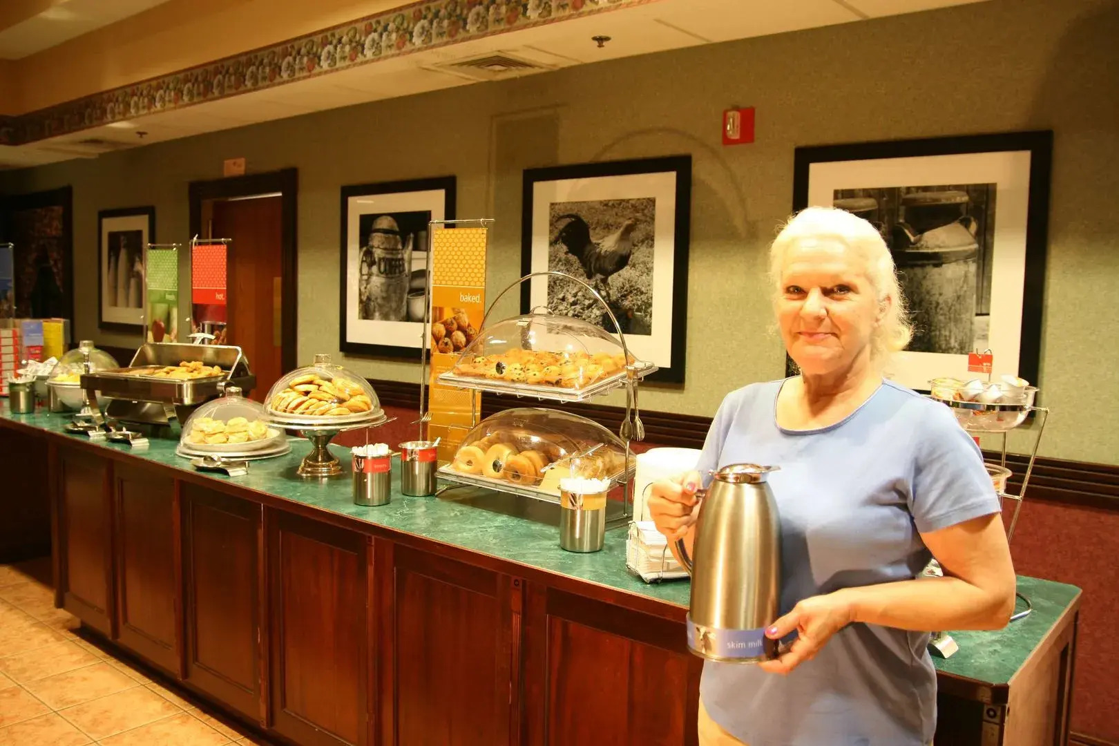 Hampton Inn Birch Run/Frankenmuth