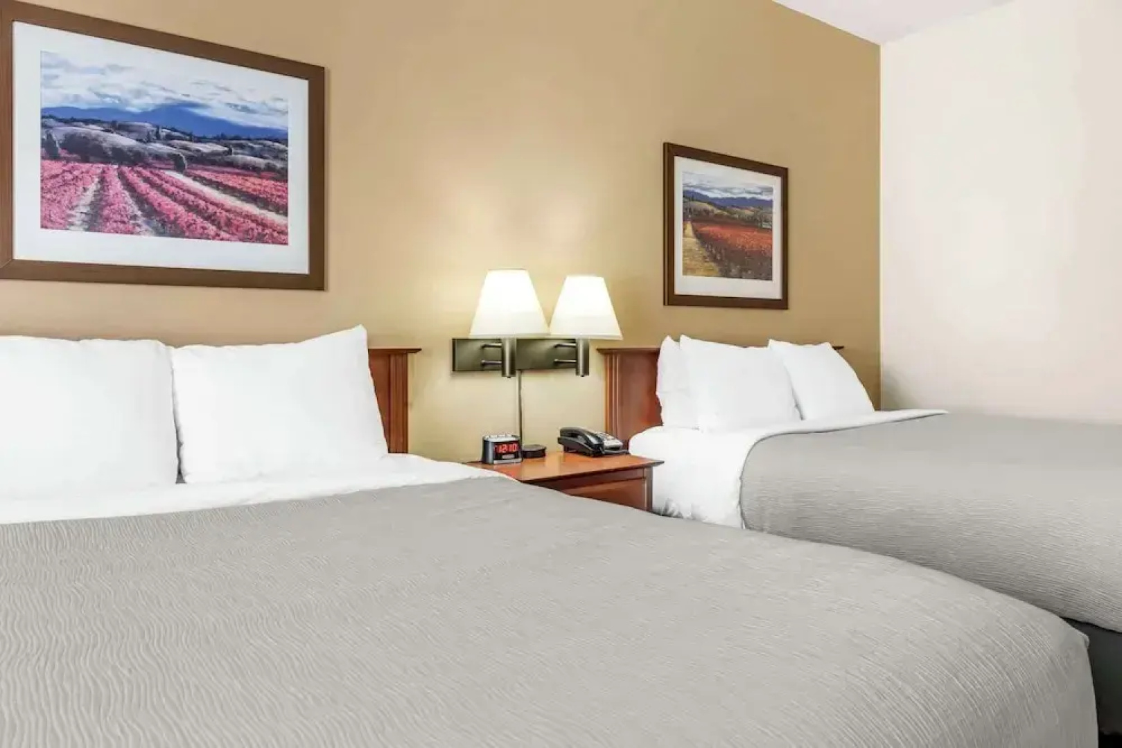 Super 8 Moncton/Dieppe NB