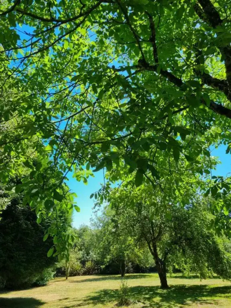 Chambres d'Hôtes - Ker Loz Vihan - L'Amour de la pierre au cœur du Golfe du Morbihan