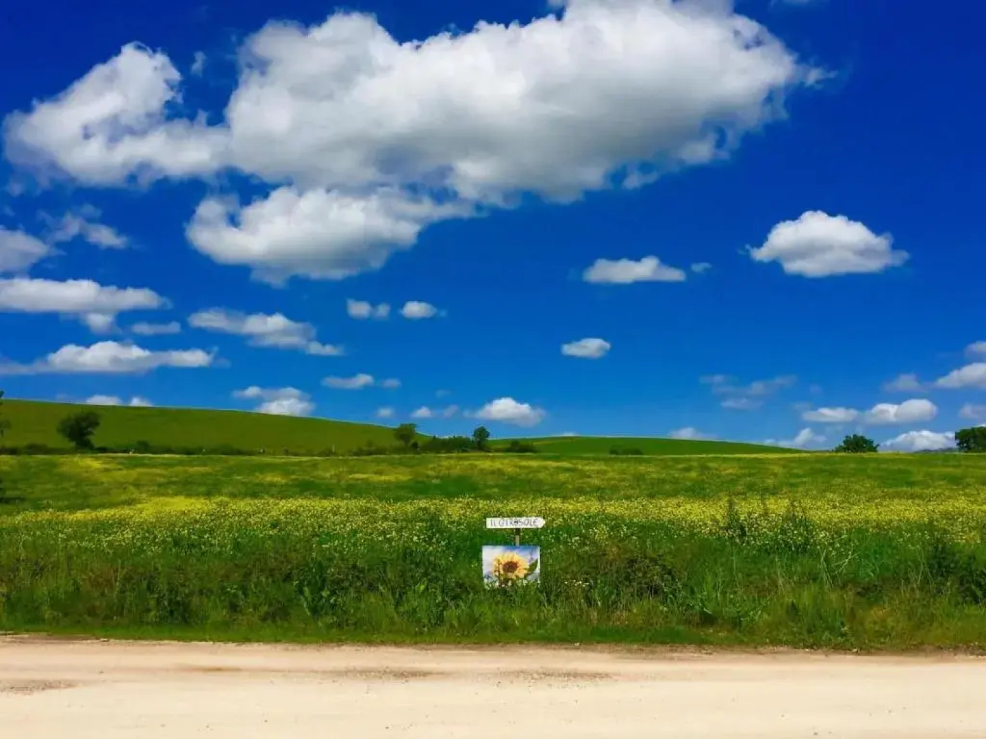 Il Girasole Terzuolo
