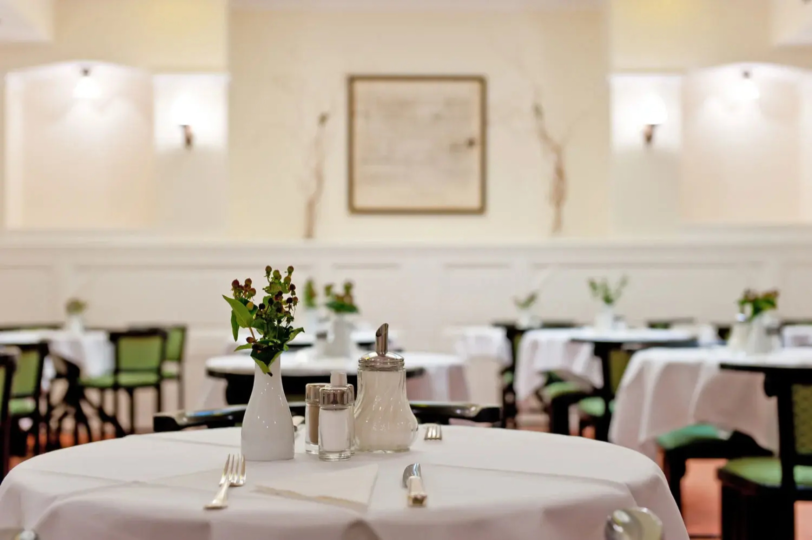 Hotel Johann Strauss