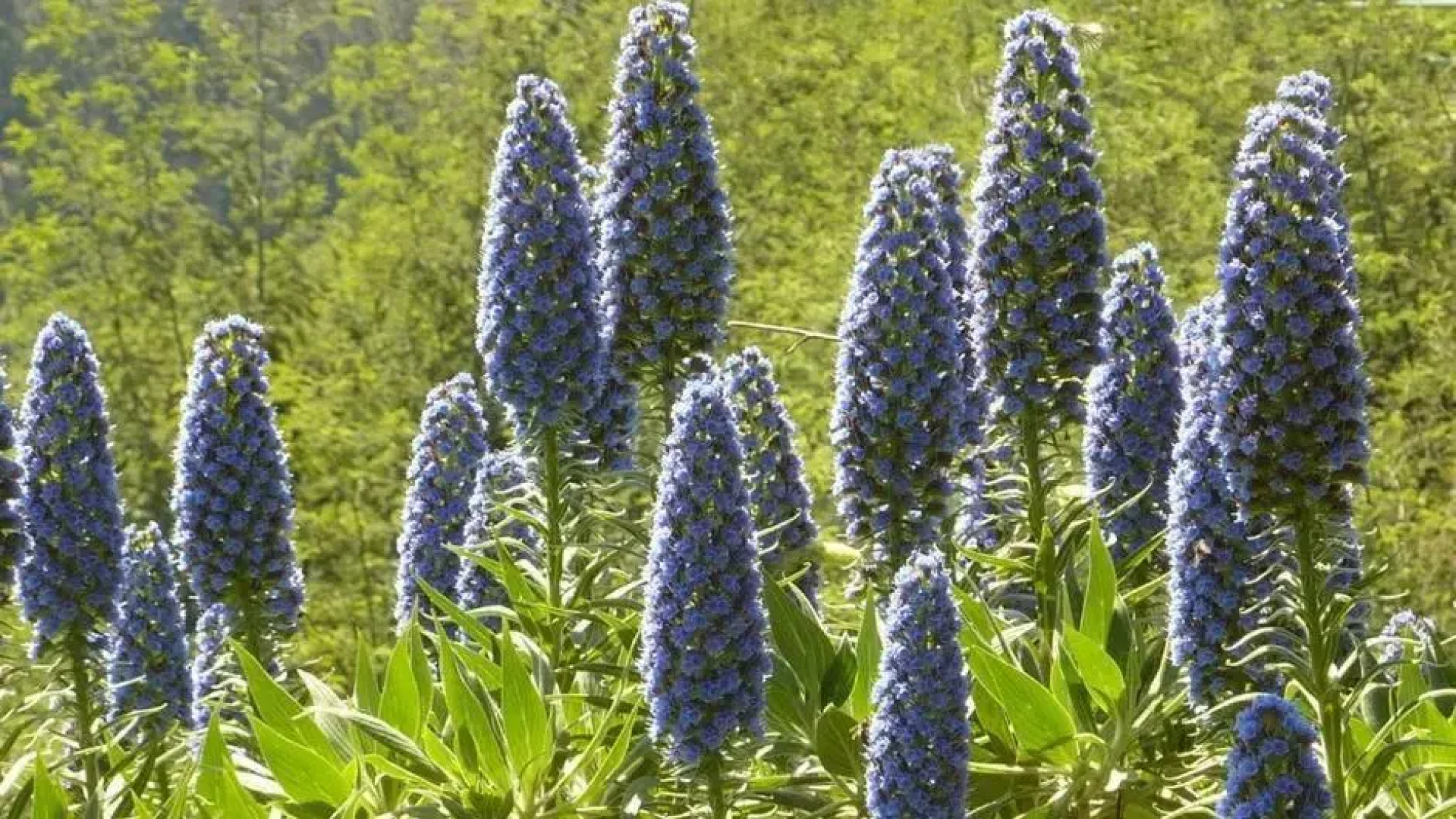 Casa de Sistelo - Turismo Rural Gerês