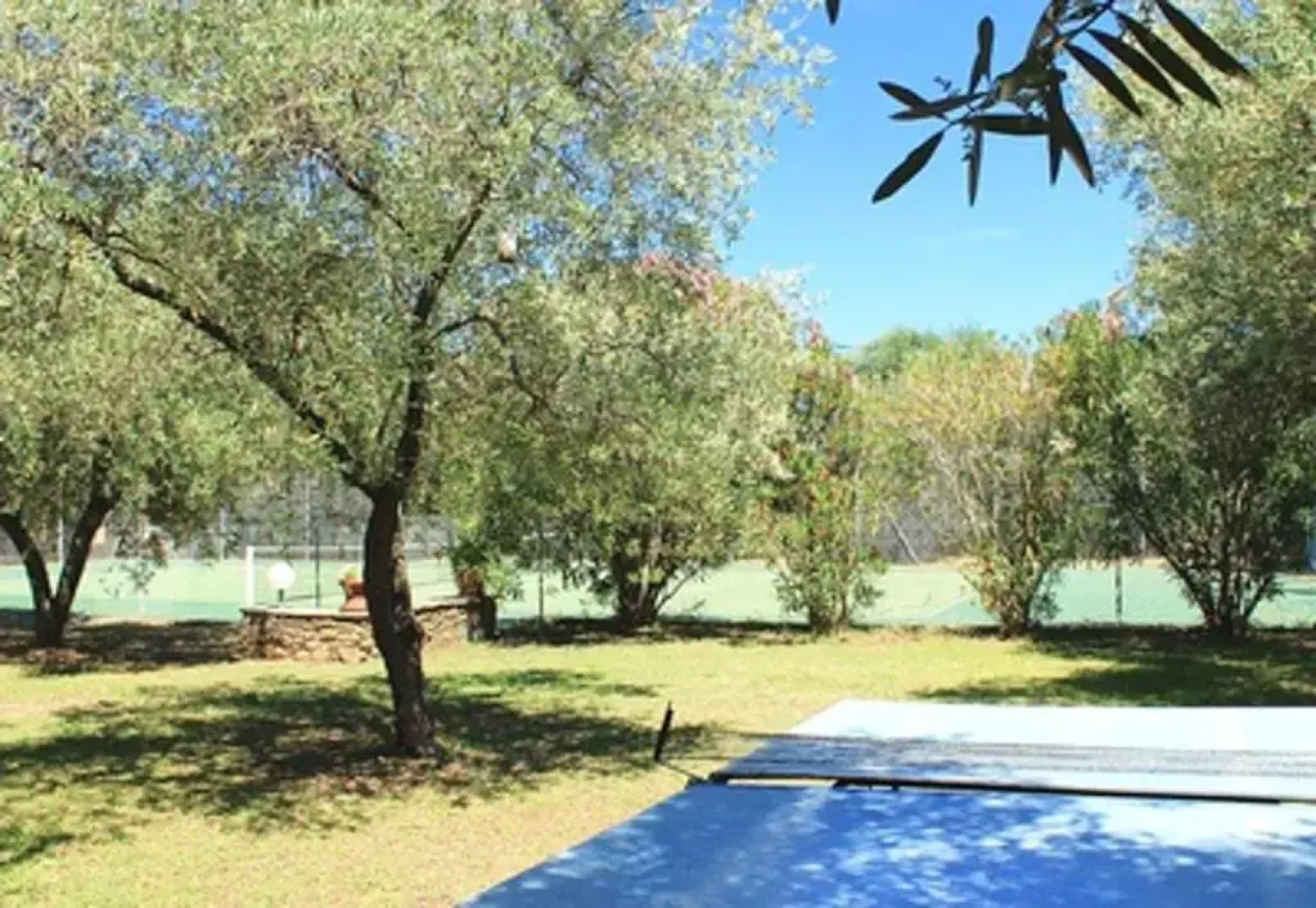 Appartement d'une chambre avec piscine partagee et terrasse amenagee a Sorbo Ocagnano a 4 km de la plage