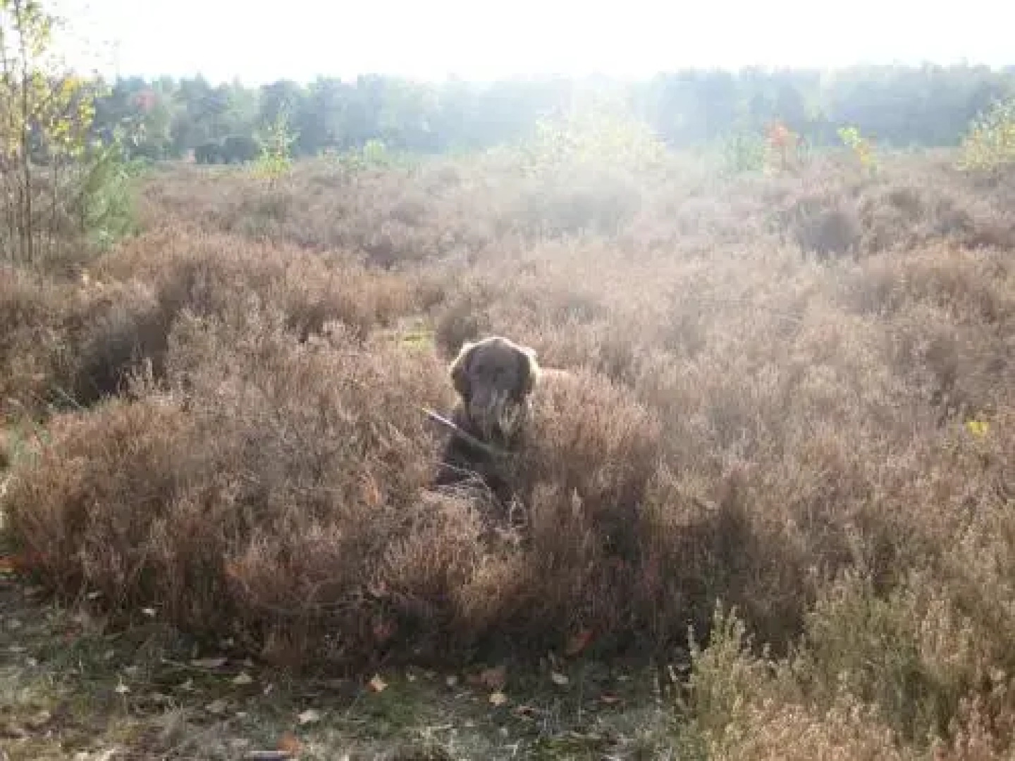 Landgoedhoeve Vosbergen