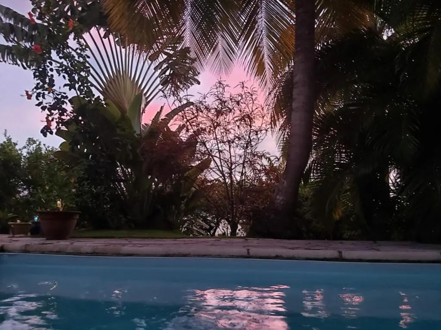 Chambre d'hôte La Villa Gialla