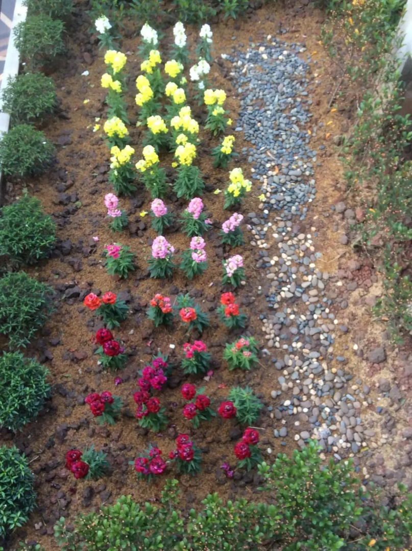 Pupiang Po Da Arte Resort