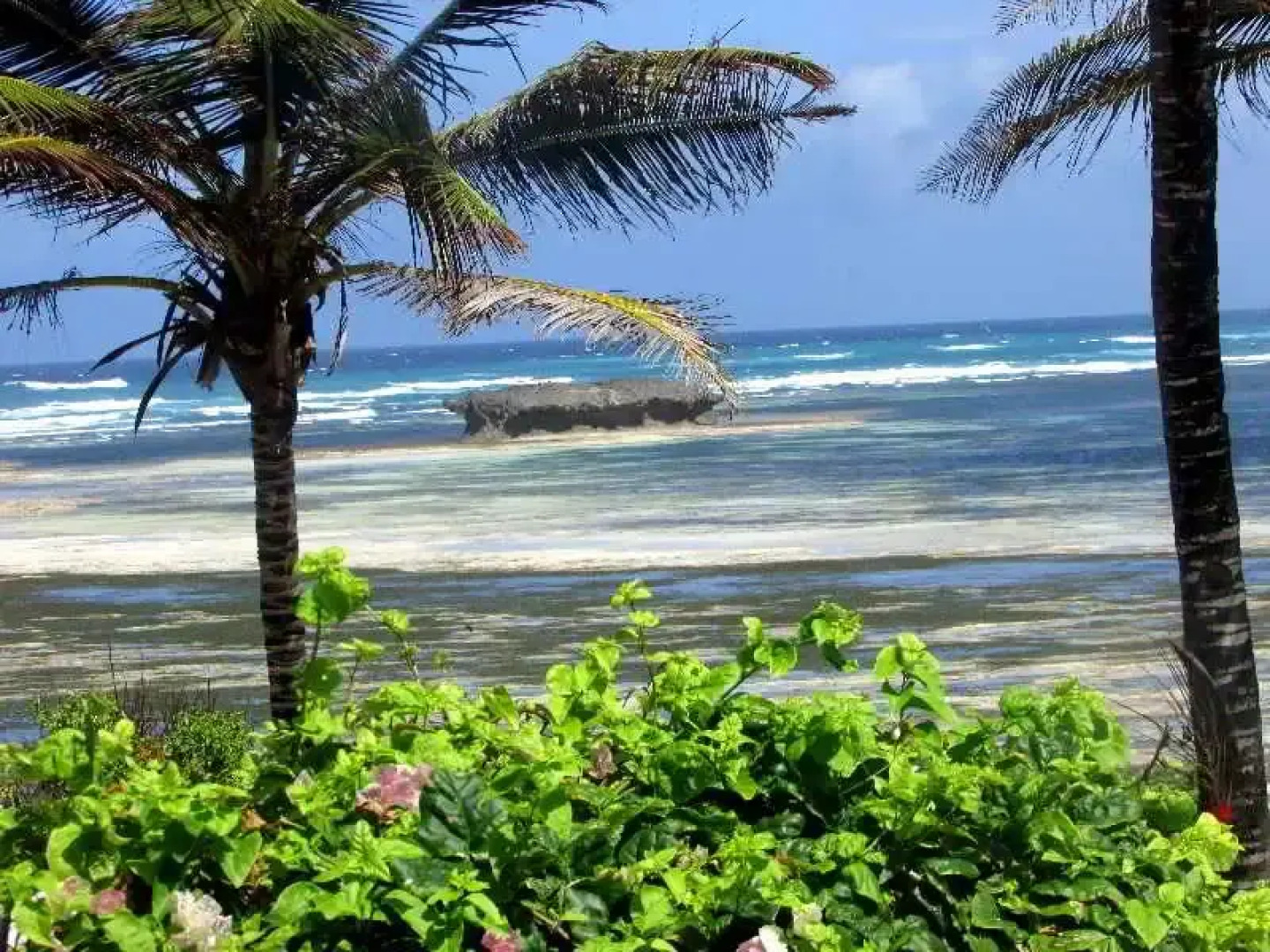 Aquarius Beach Resort