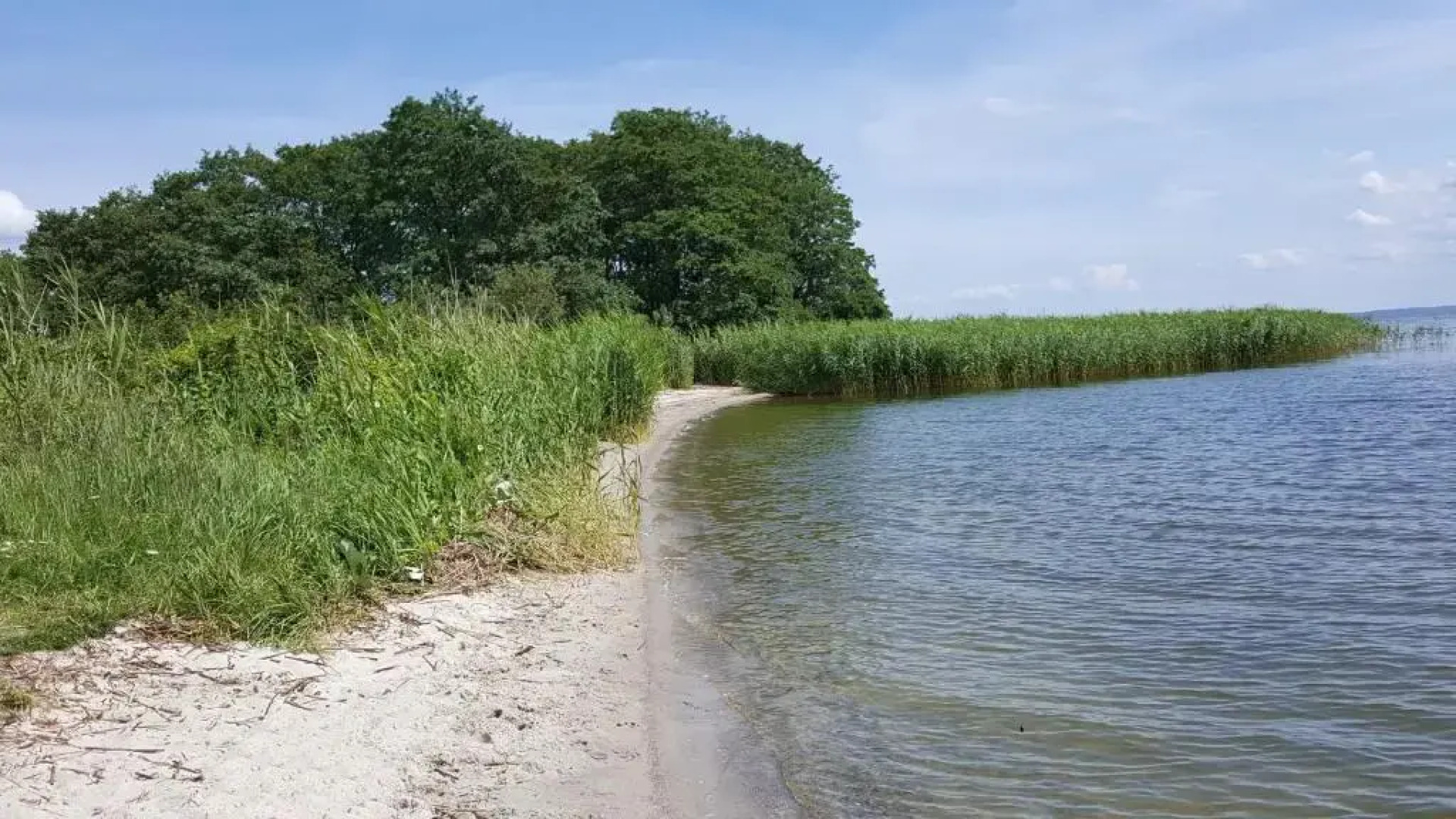 Appartement "Haffresidenz" 5-12