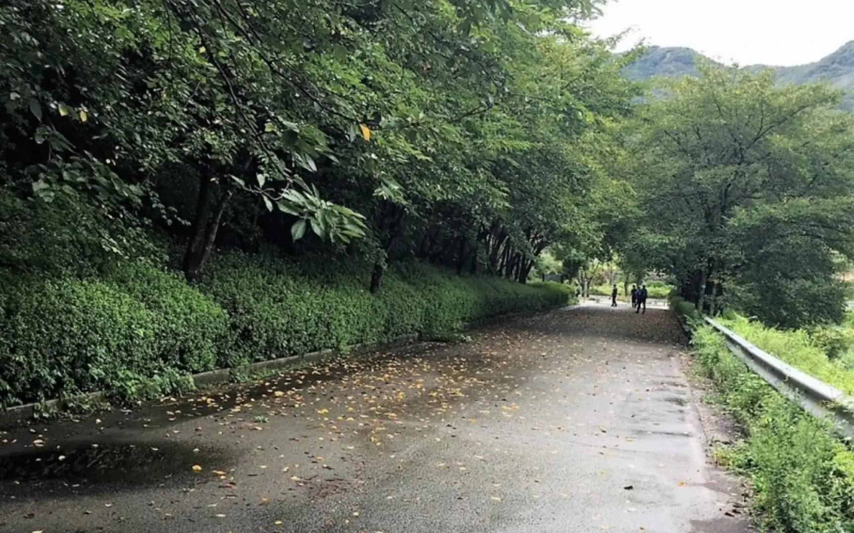 Wanju Madangi Sumokwon Pension