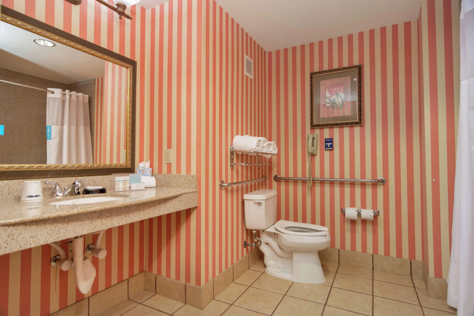 Hampton Inn & Suites Dallas-DFW ARPT W-SH 183 Hurst