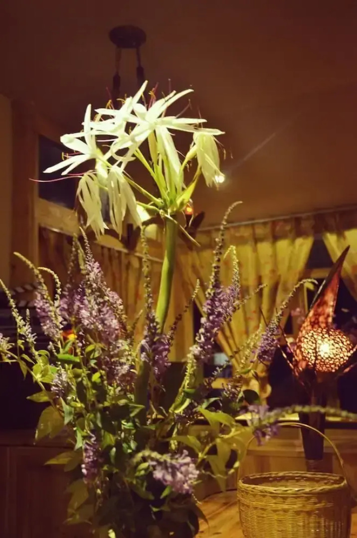 Zhaoxing Ruyuan Family Inn