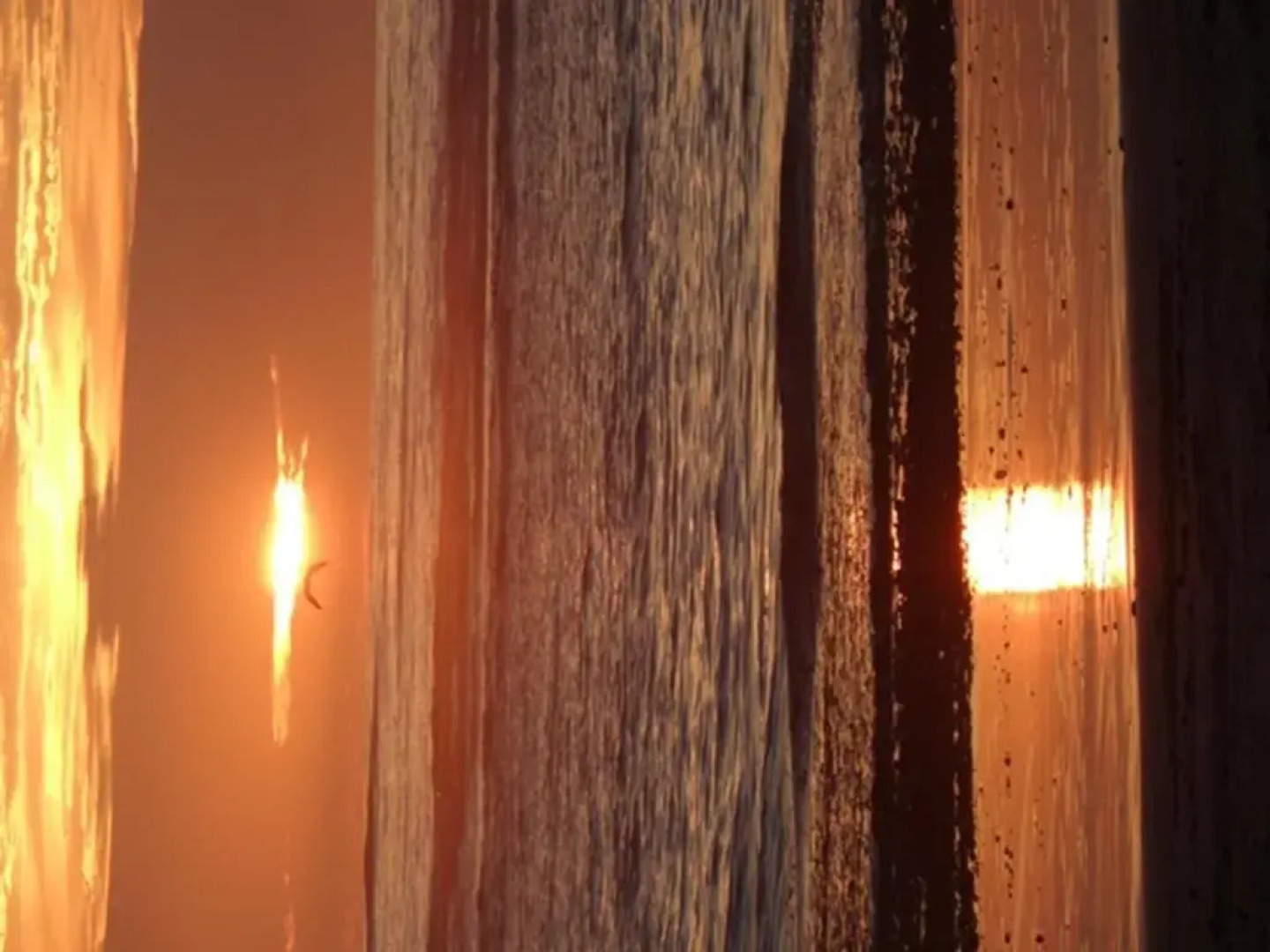 Maison Rétaise près de la Plage