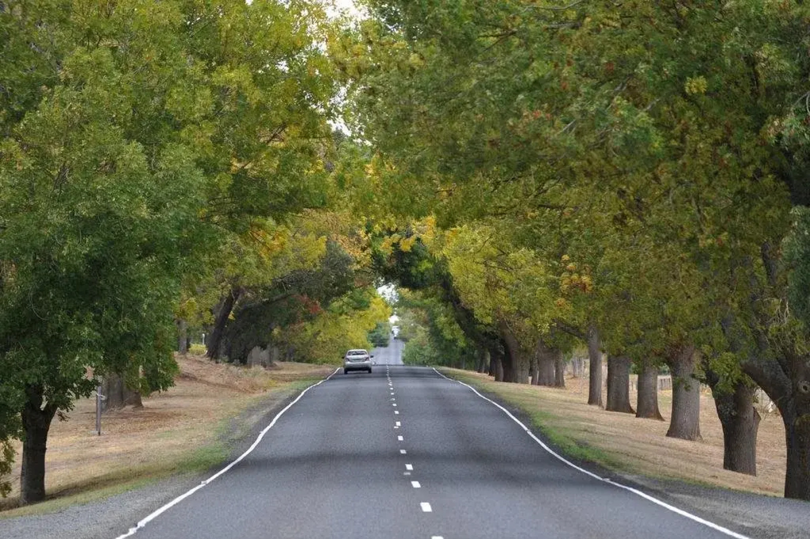 Peppermint Springs Retreat and Day Spa