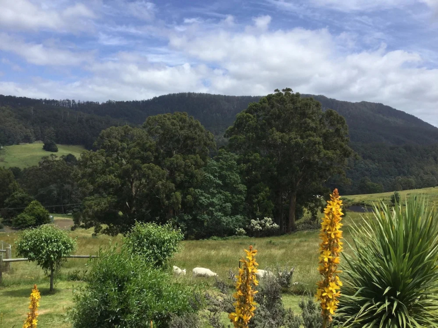 Shanleys Huon Valley