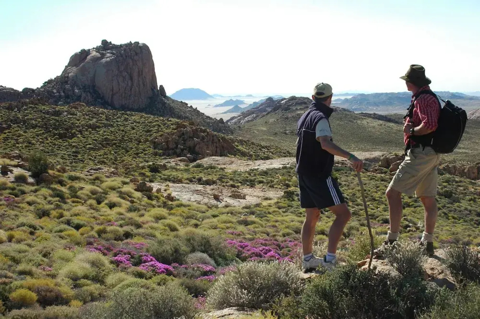 Klein-Aus Vista Desert Horse Campsite