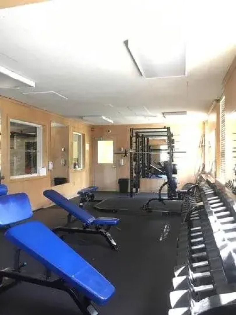 University of King's College