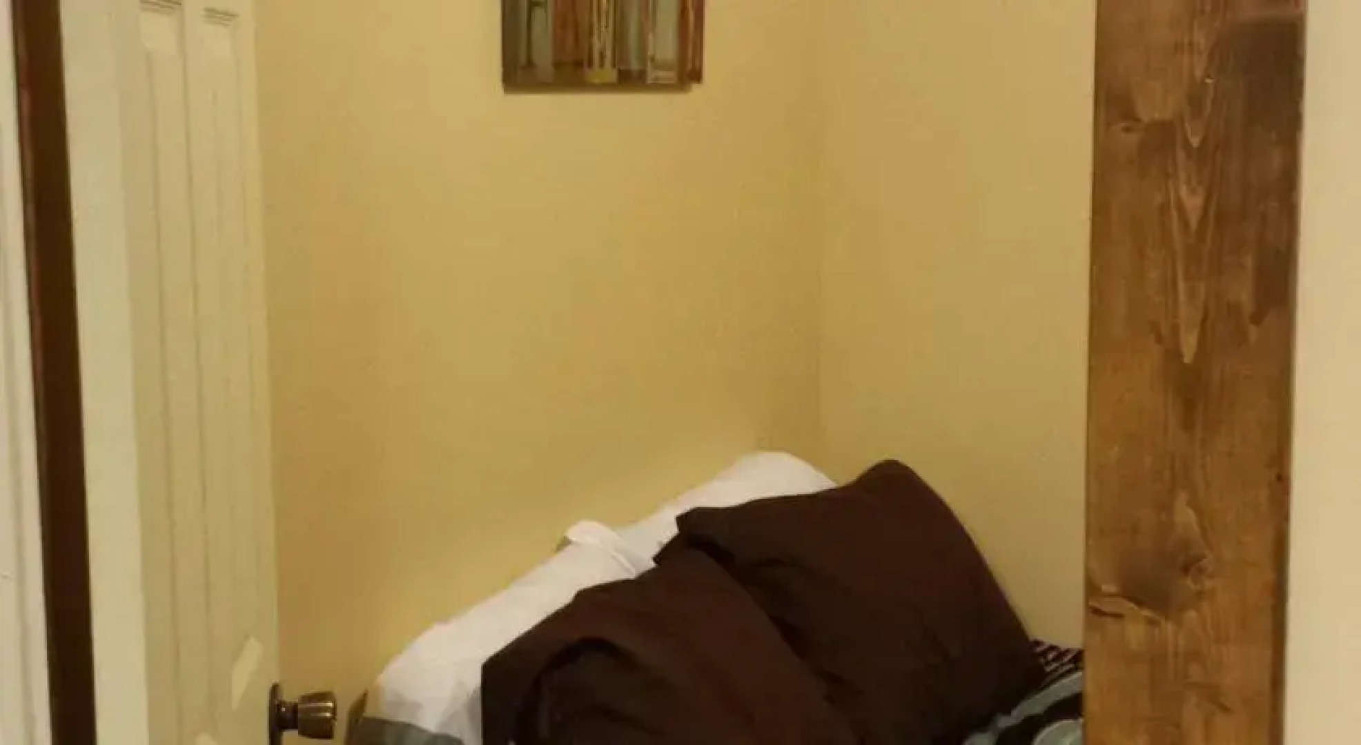 Ski / Hike / Bike / Sleep - Seneca Trail Snowshoe