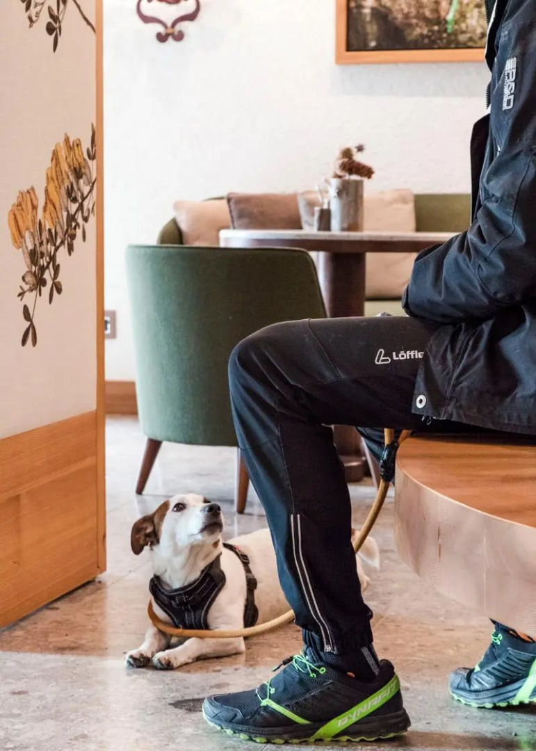 Faloria Mountain Spa Resort