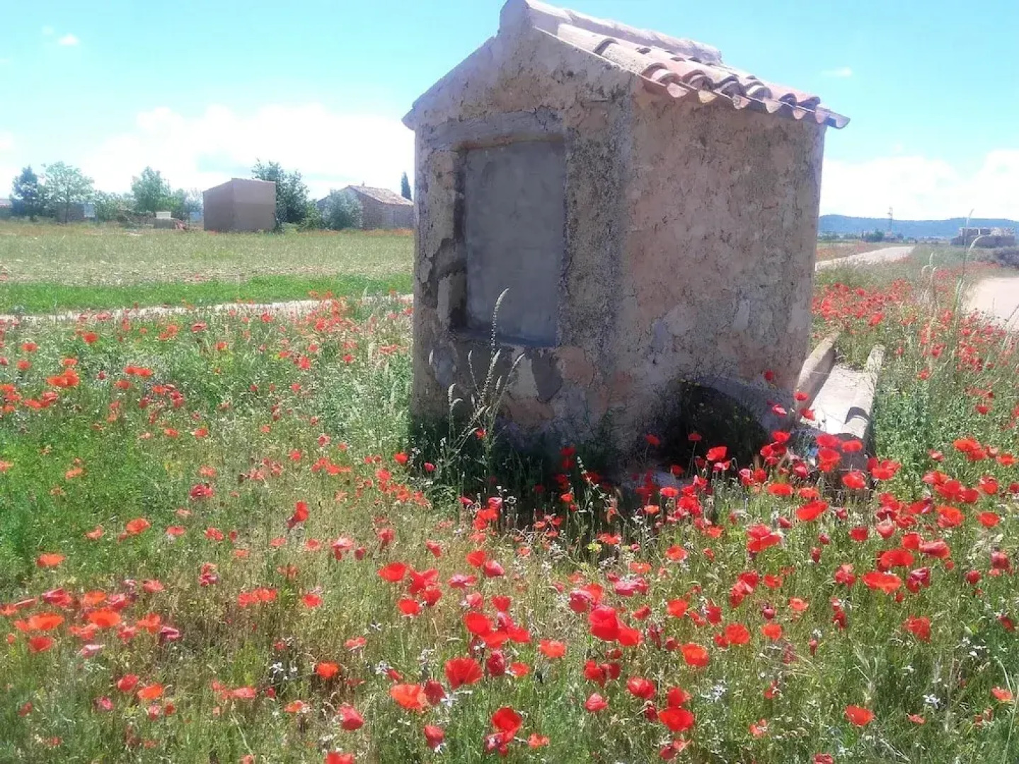 House With 5 Bedrooms in Casas del Cerro, With Wonderful Mountain View